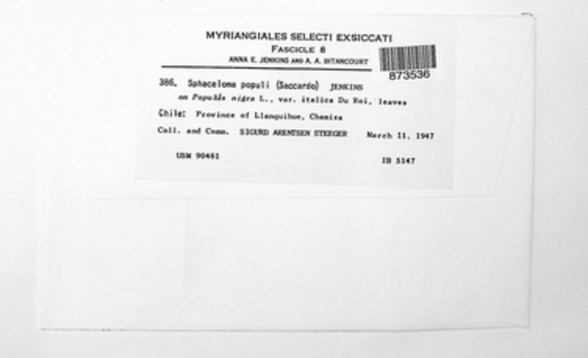 Sphaceloma populi image